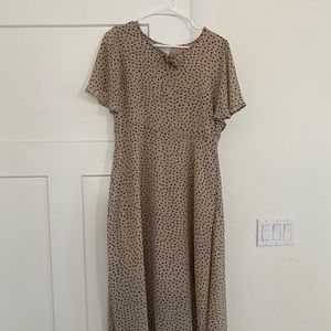 Polka dot beige midi dress NEW